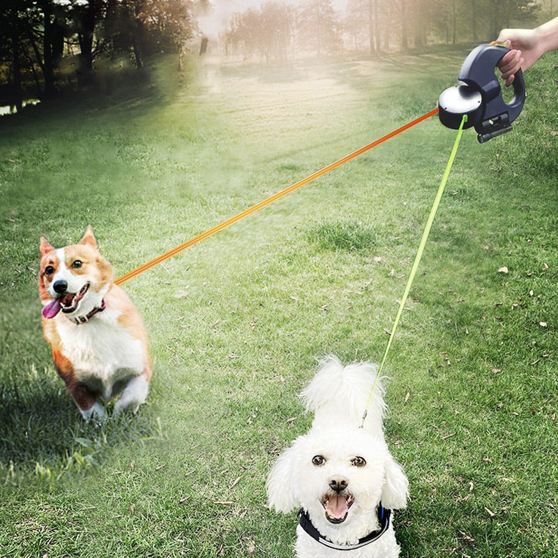 Two-in-One Multifunctional Dog Walker-📢📢Flash Sale: Ending in 3 Hours!⏰⏰