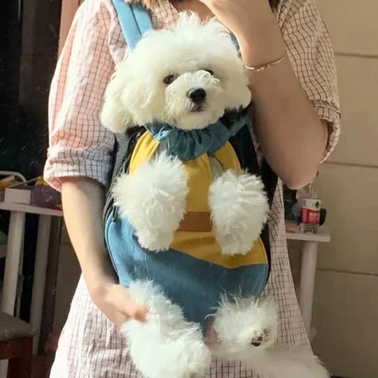 🎅Christmas Hot Sale🎁Pet Travel Leg-out Backpack🐶🐱