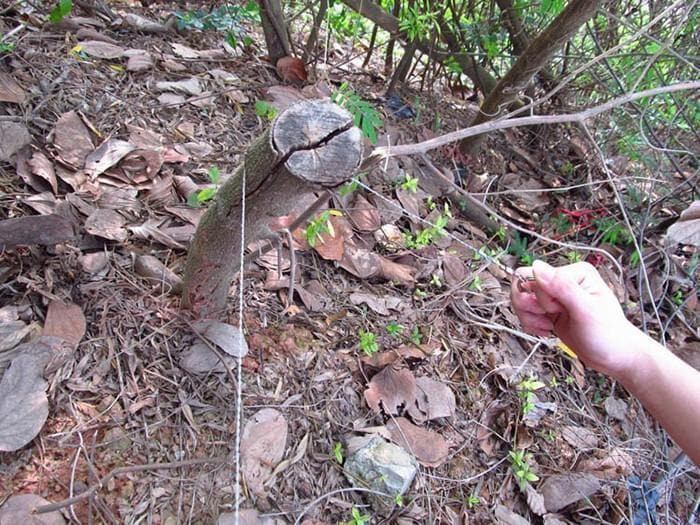 🔥BUY 1 GET 1 FREE🔥 Survival Gear Stainless Steel Wire Saw