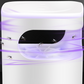 🔇🦟UV Fly Trap with Transparent Catch Box