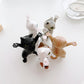 😺😺Funny Cat Pen Holder