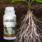 🔥 LAST DAY PROMOTION - 50%OFF 🔥 Rapid Strong Rooting Fertilizer