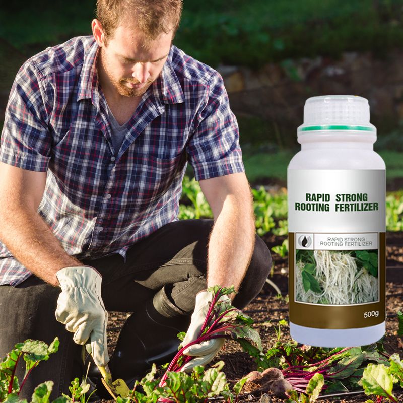 🔥 LAST DAY PROMOTION - 50%OFF 🔥 Rapid Strong Rooting Fertilizer