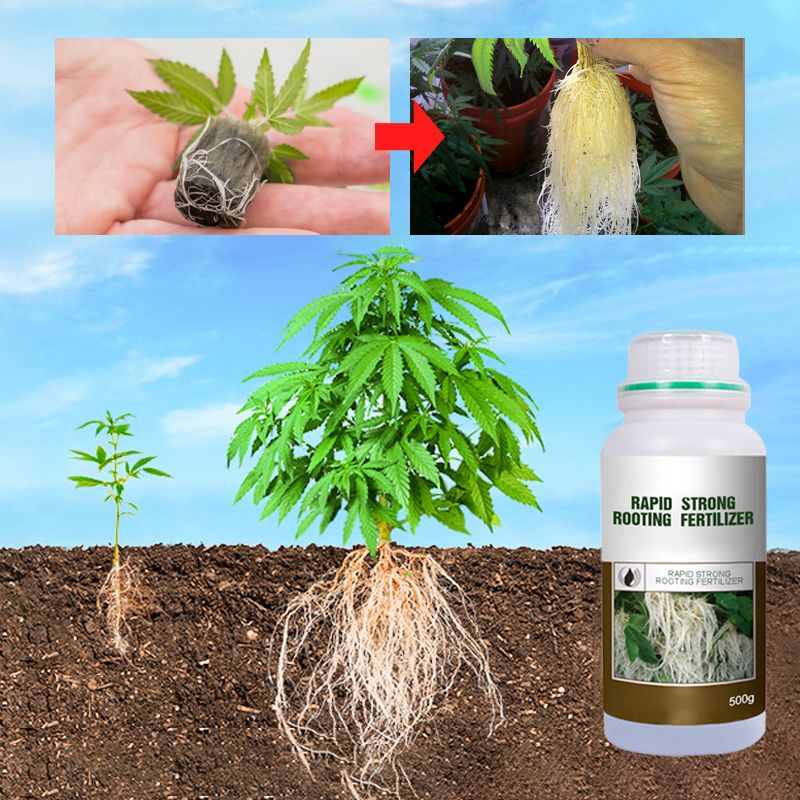 🔥 LAST DAY PROMOTION - 50%OFF 🔥 Rapid Strong Rooting Fertilizer
