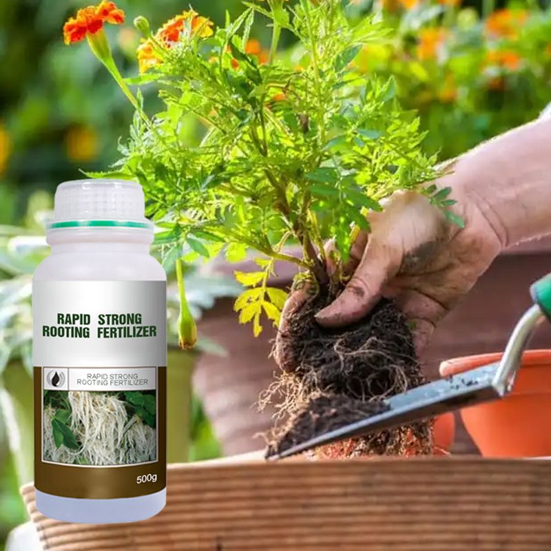 🔥 LAST DAY PROMOTION - 50%OFF 🔥 Rapid Strong Rooting Fertilizer