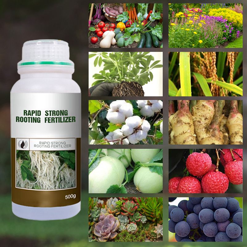 🔥 LAST DAY PROMOTION - 50%OFF 🔥 Rapid Strong Rooting Fertilizer