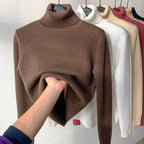 🎅Christmas Specials 50% OFF🎁Winter fleece thick knitted bottoming shirt，can be worn by both men and women
