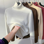🎅Christmas Specials 50% OFF🎁Winter fleece thick knitted bottoming shirt，can be worn by both men and women