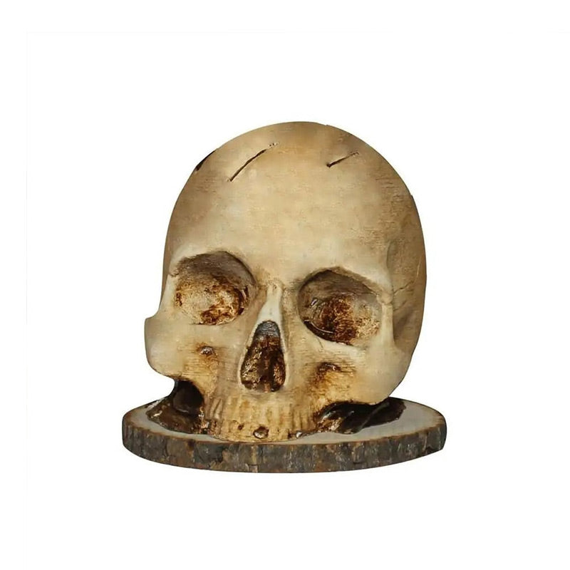 🔥50% off for a limited time 🔥Creative Skull Resin Knife Holder
