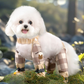 🔥 LAST DAY PROMOTION - 50%OFF 🔥🔥 Outdoor Dust-Proof Dog Pants ✅