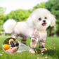 🔥 LAST DAY PROMOTION - 50%OFF 🔥🔥 Outdoor Dust-Proof Dog Pants ✅