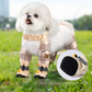 🔥 LAST DAY PROMOTION - 50%OFF 🔥🔥 Outdoor Dust-Proof Dog Pants ✅