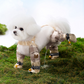🔥 LAST DAY PROMOTION - 50%OFF 🔥🔥 Outdoor Dust-Proof Dog Pants ✅