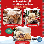 🔥50% off, while stocks last! 🎉Christmas New Gift Toy🐂🎁Cute Cartoon Highland Cow Cuddly Toy